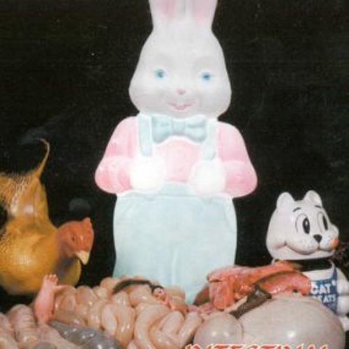 Stream Nuclear Rabbit music | Listen to songs, albums, playlists for ...