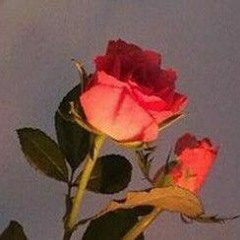 BEBA - Klim Feat. Jotaa (Video Oficial).mp3