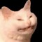 Ech