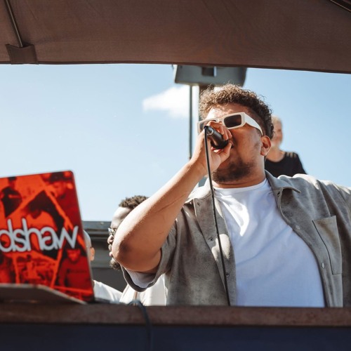 DJ Bradshaw — artist photo