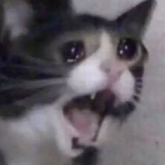 Jevii