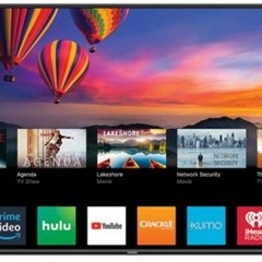VIZIOCastDisplay3140