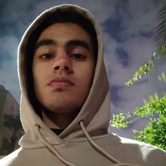 Abdelhalim Elsayed