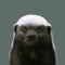 배저(Badger)
