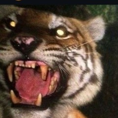 Hellcatz