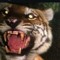Hellcatz