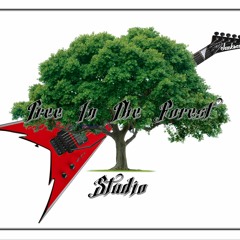 Tree In The Forest Studio