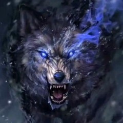 FireWolf55