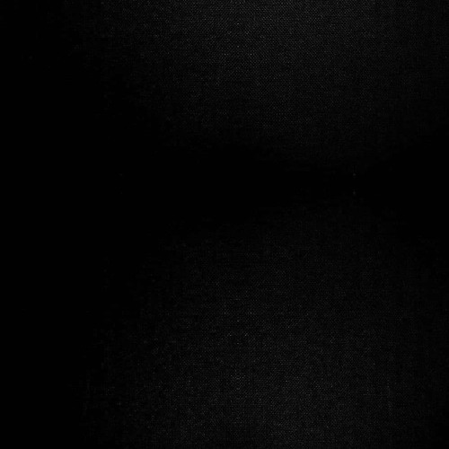 Untitled 2
