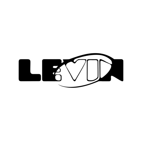 Levin — artist photo