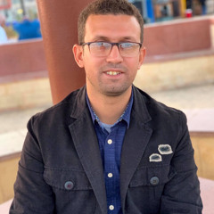 Amr Hassan