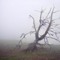 witchgrave