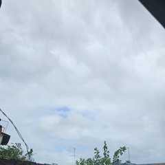 rVDsS