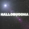 HALLOBUDDHA PRODUCTION