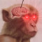 nomicon