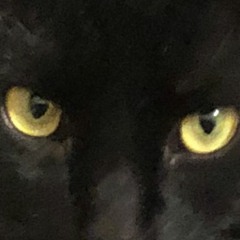 Nicolas Saint Nazario