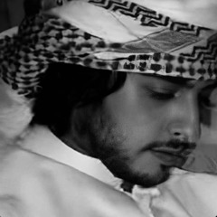 ٦