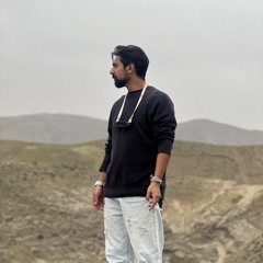 vafa.morteza