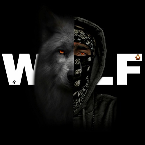 ILIYA WOLF’s avatar