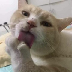 Hờ Uy