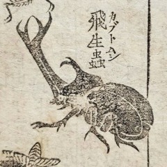 the perfect girl [meme]