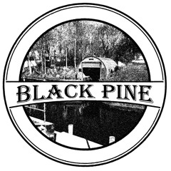 Black Pine