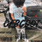 OFBGDOT