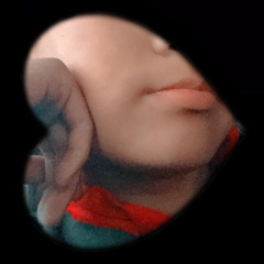 jigme yangchen dorji