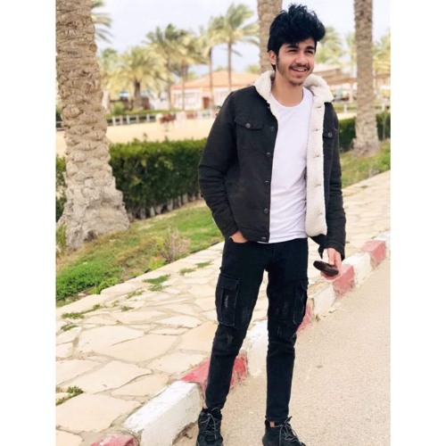 Karim Abd Elhakem’s avatar