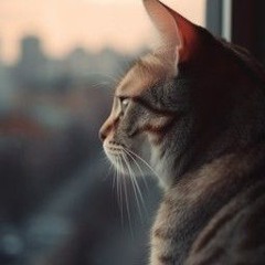 𝙹 𝙾 𝚂 𝙴 𝙿 𝙷. 𝚆𝙲𝚁 📖