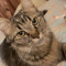 Kitty <3