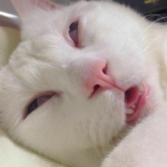 phamthao