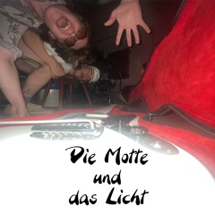 Die Motte und das Licht