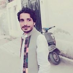 Baloch Najeeb