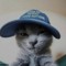 Fancyxy