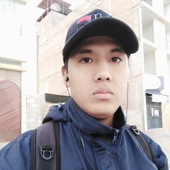 Rodrigo David Ayme Espinoza