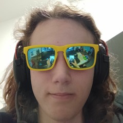 Šváb junior