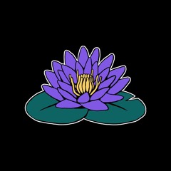 Bloom Records