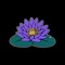 Bloom Records