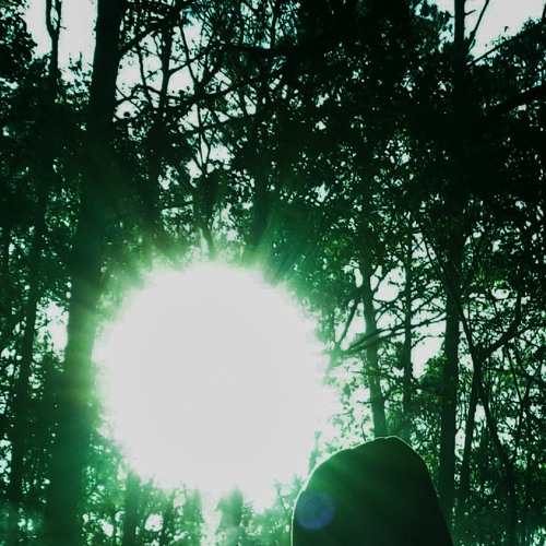 Hellow High (sunlight)