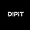 DIPIT_DNB