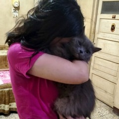 Vee's hidden world 🌎