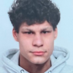 Jelmer