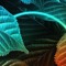 Vqdj55