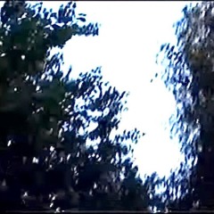cupidscorpse