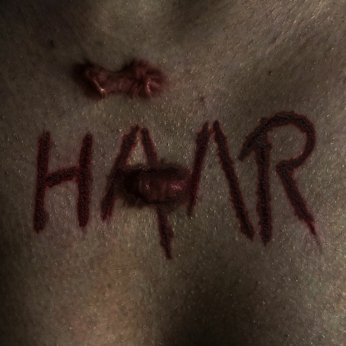 HAAR’s avatar