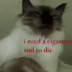 Not_woori