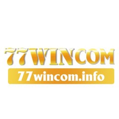 77wincominfo