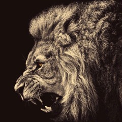 🩵[ leoclass_$$ ]🩵