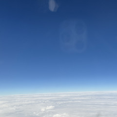 ynozd